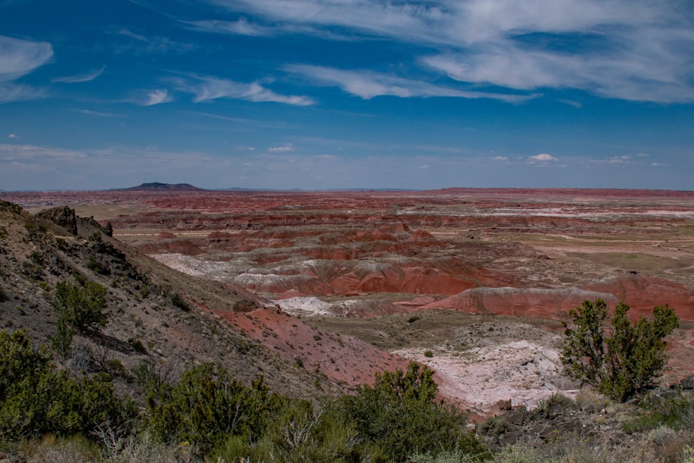 a scenic view of a vast landscape with mountains in the distance