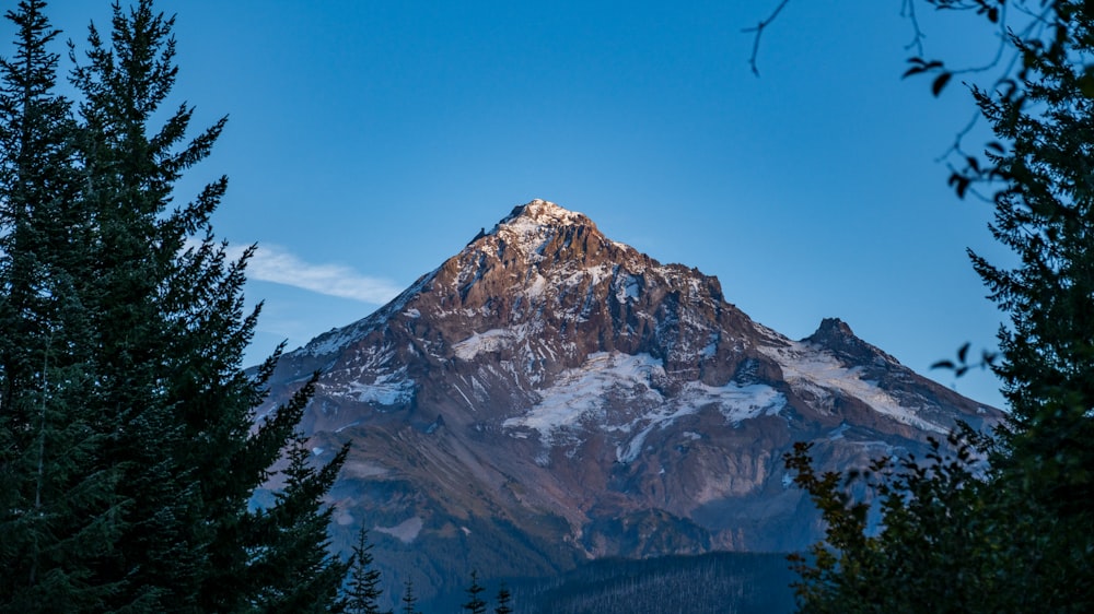 a snow covered mountain is seen through the trees