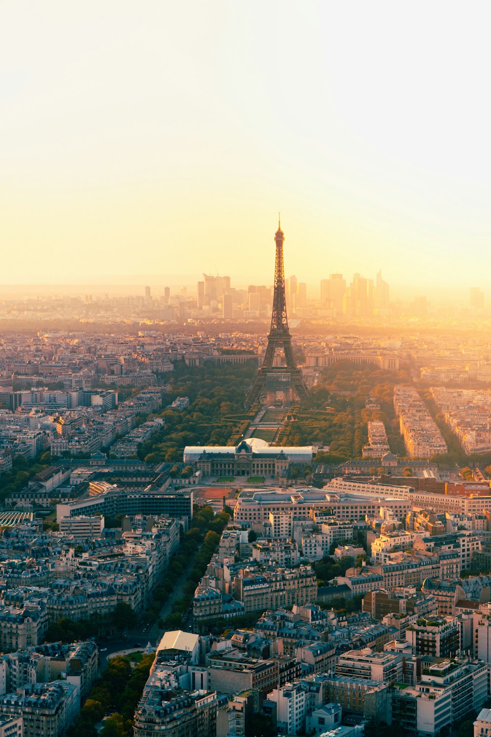 the eiffel tower towering over the city of paris