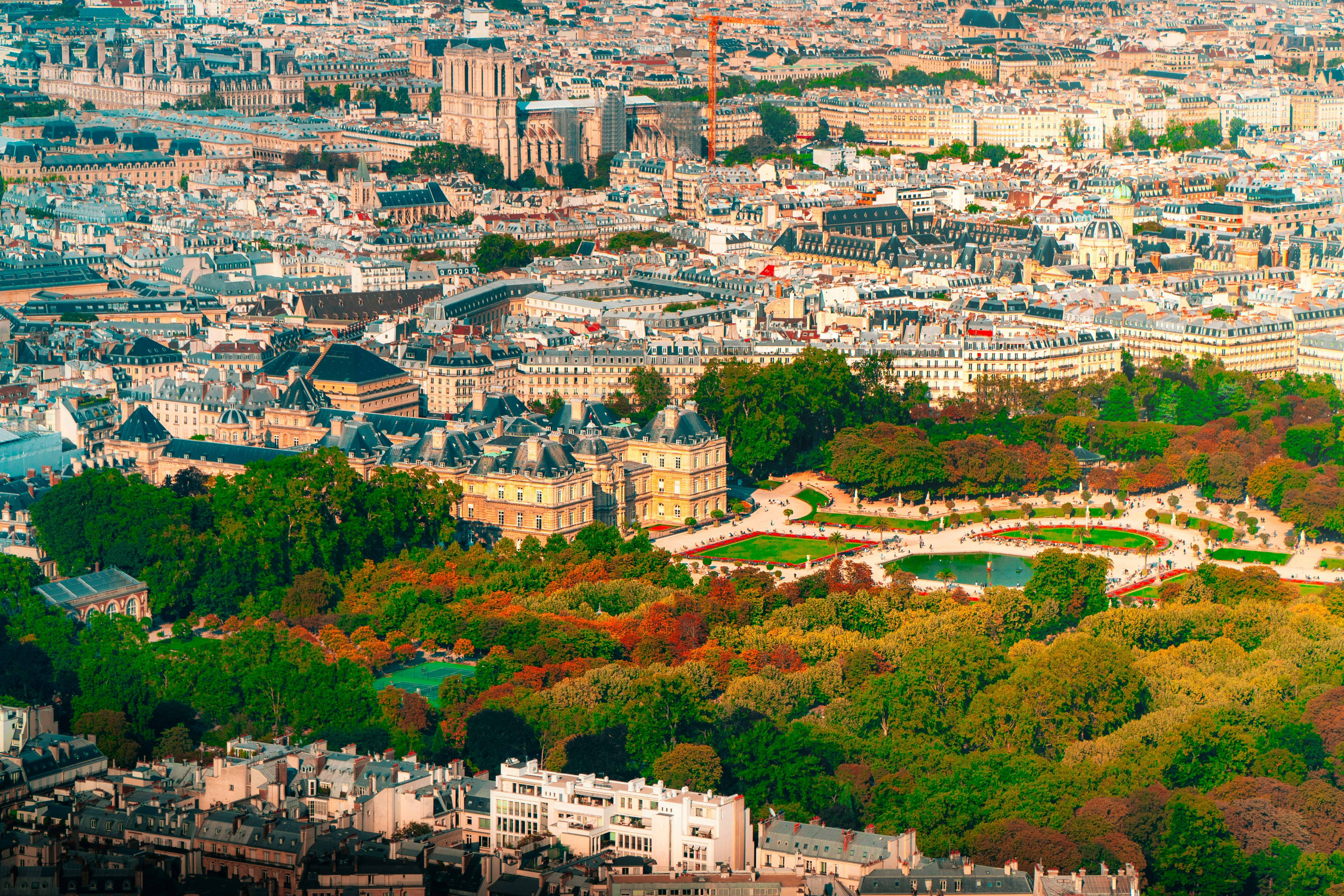 Image by Bastien Nvs via Unsplash