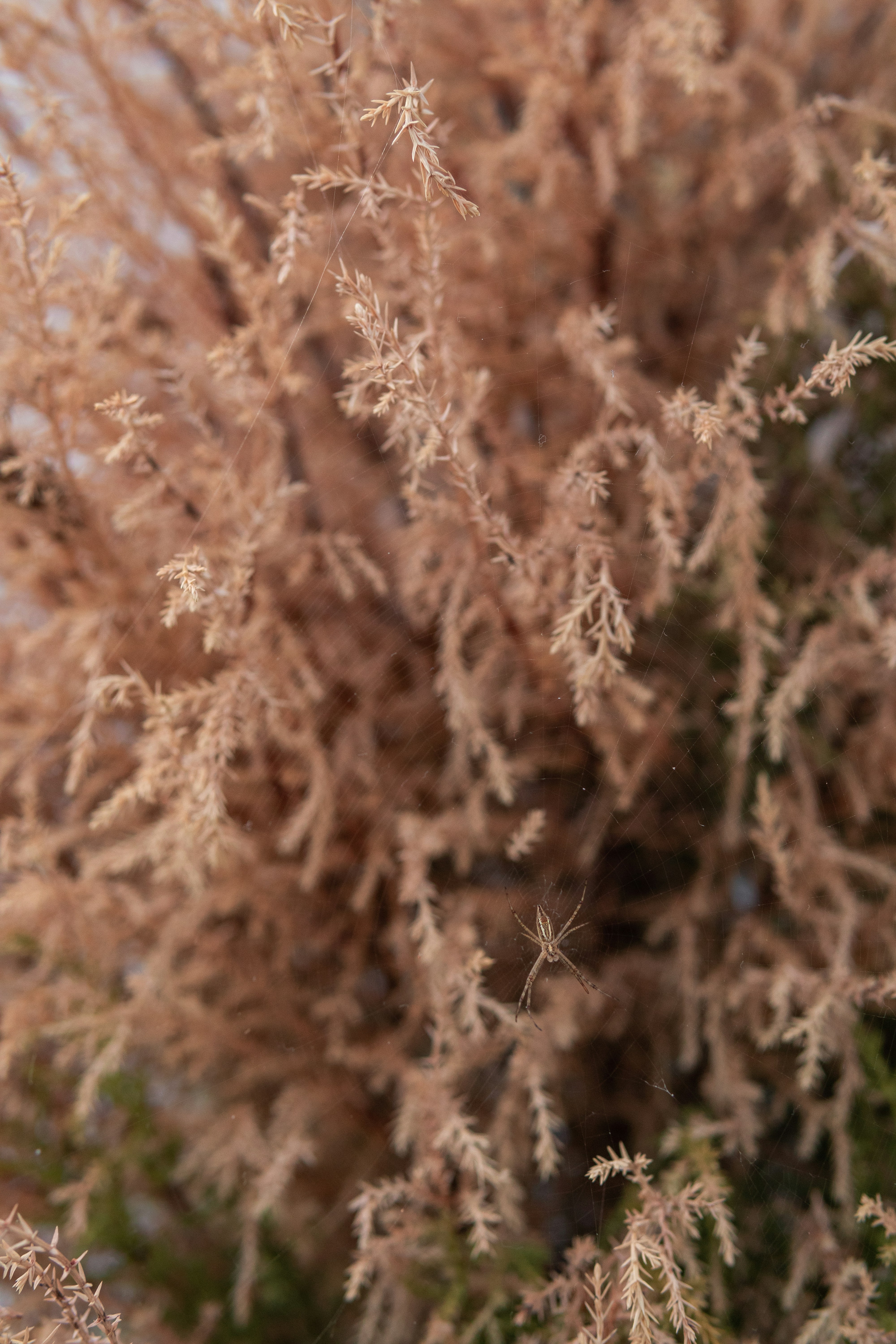 Photo by alex_quezada