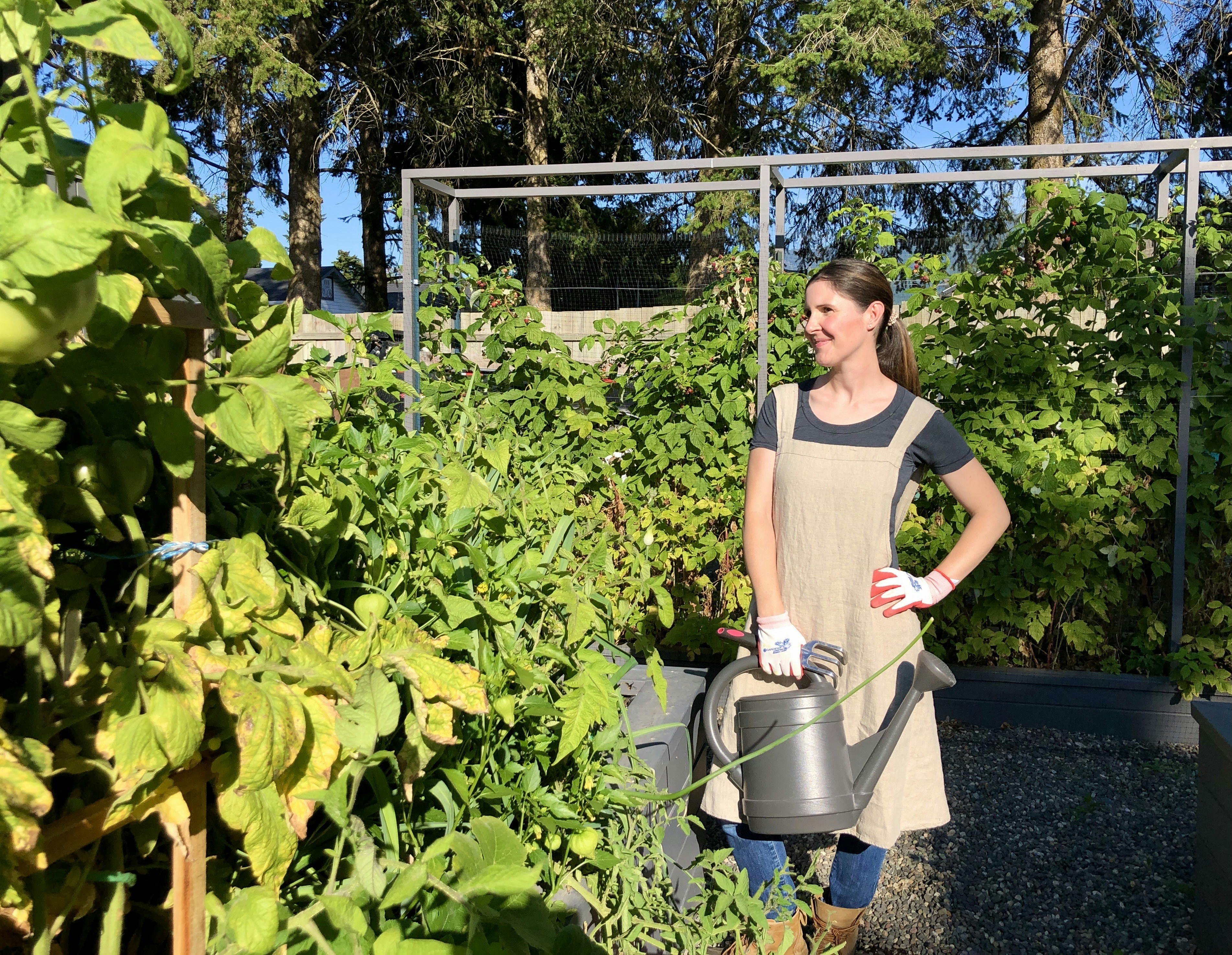 Beginner vegetable gardening tips - Watering plants with a watering can