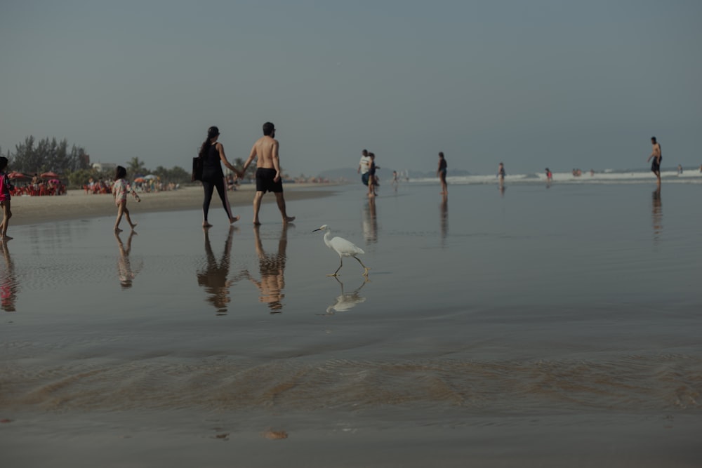 a group of people walking along a beach next to the ocean