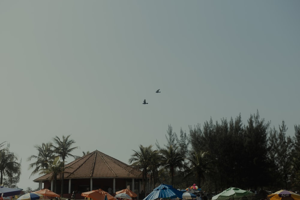 a group of tents sitting on top of a lush green field