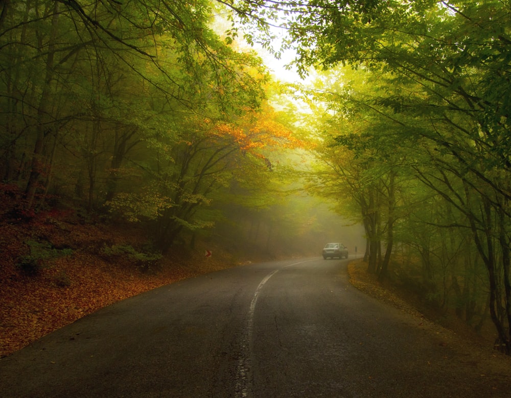 a car driving down a road surrounded by trees