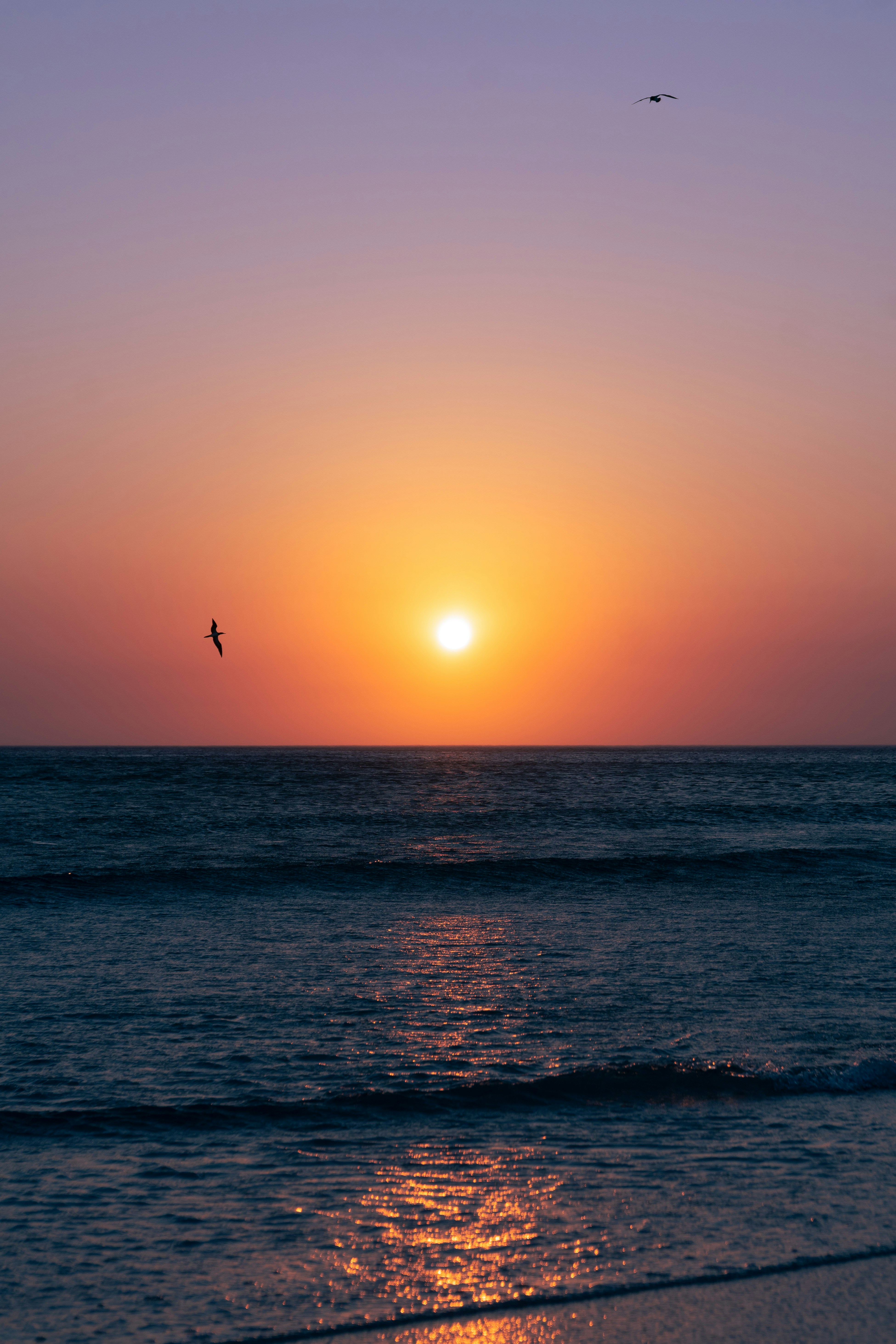 Photo by willianjusten