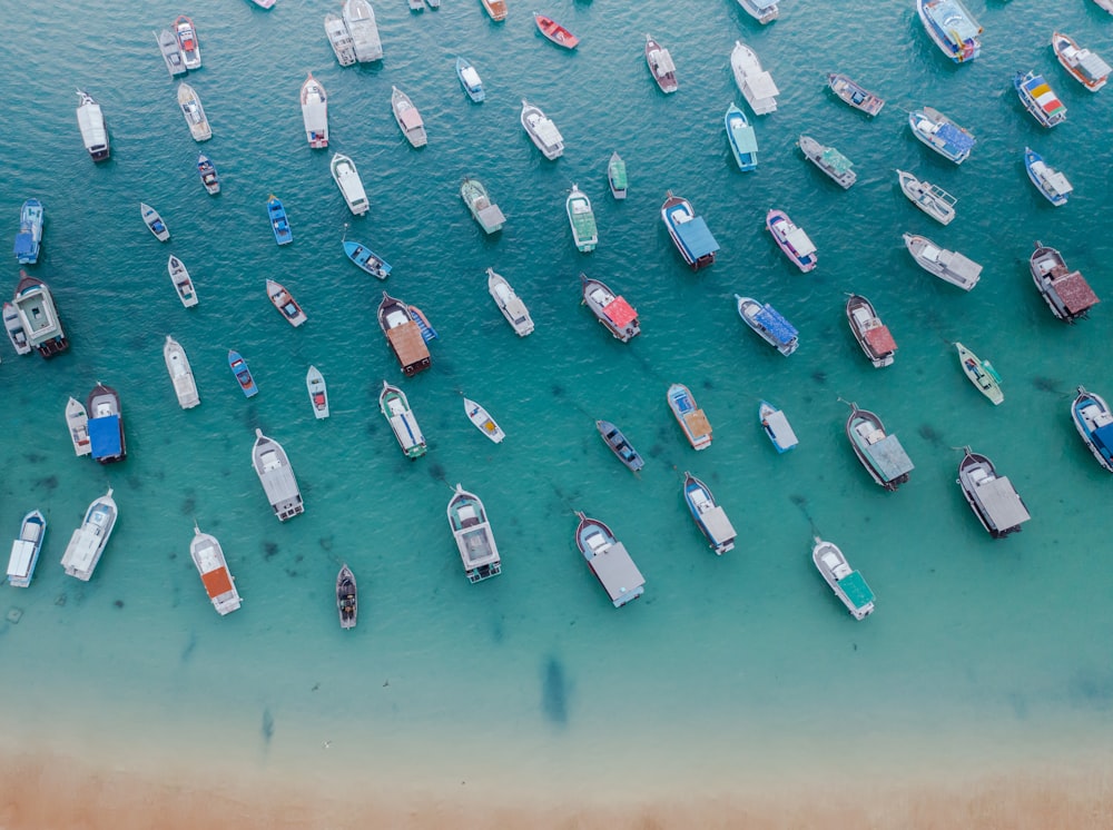 a large group of boats floating in the ocean