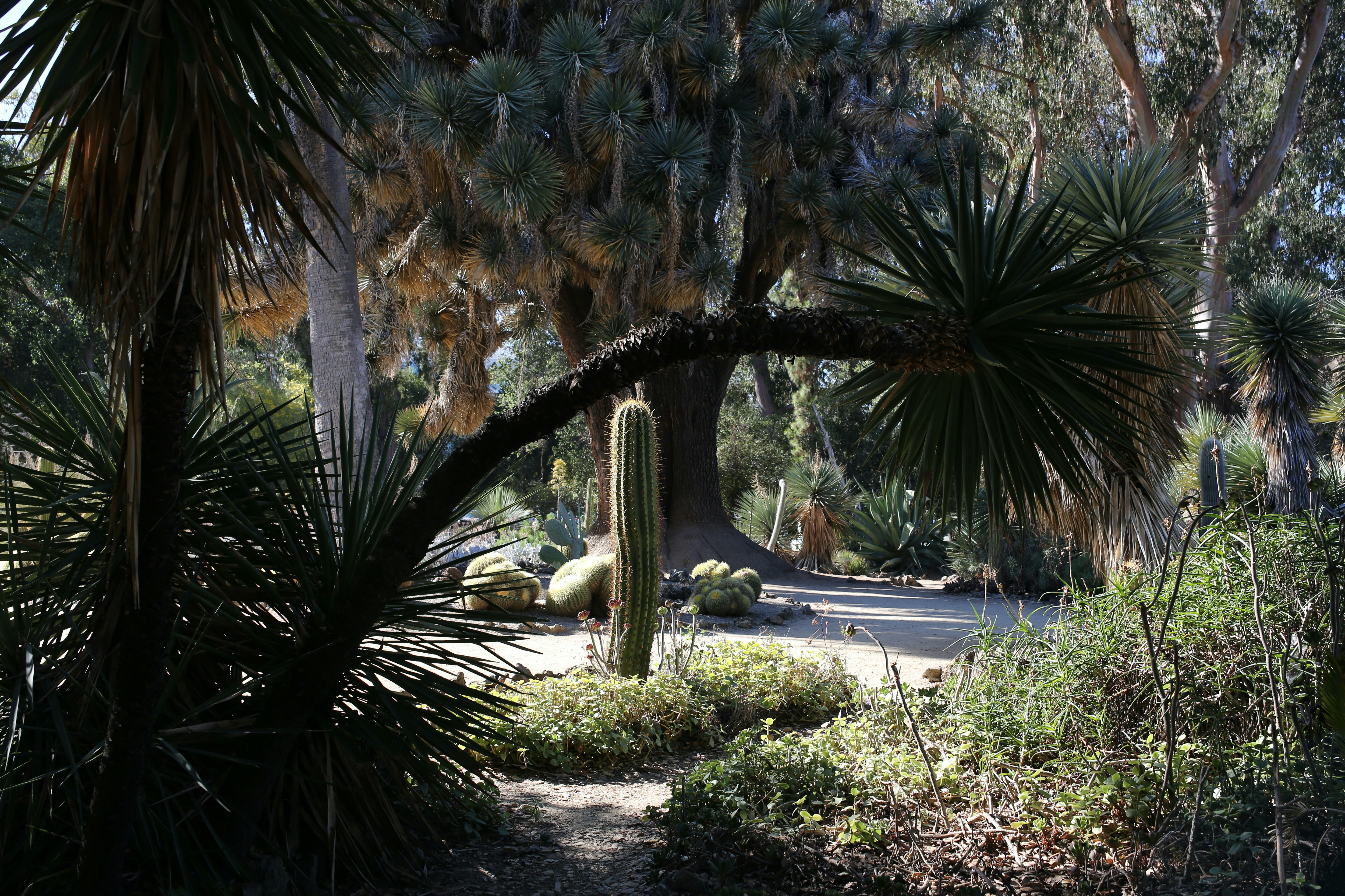 Guy Tedesco Park