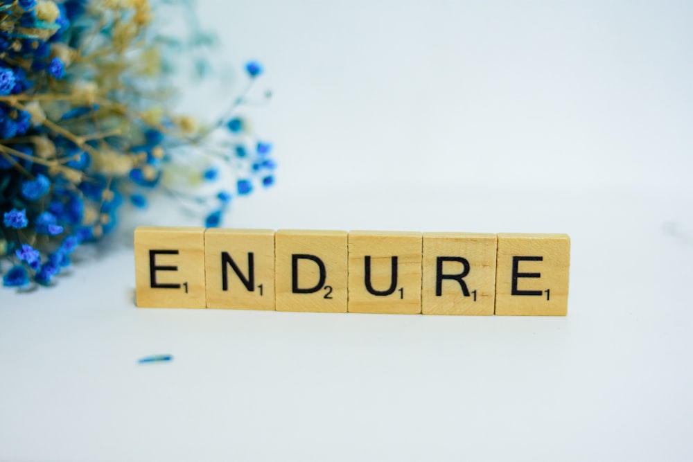 a scrabble type block spelling the word endure