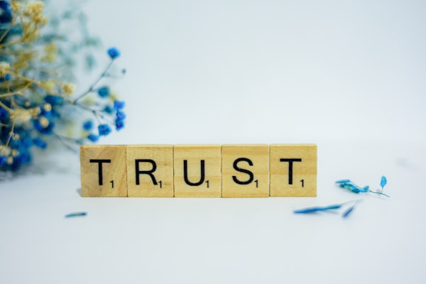 Thoughts about Trust on the Internet