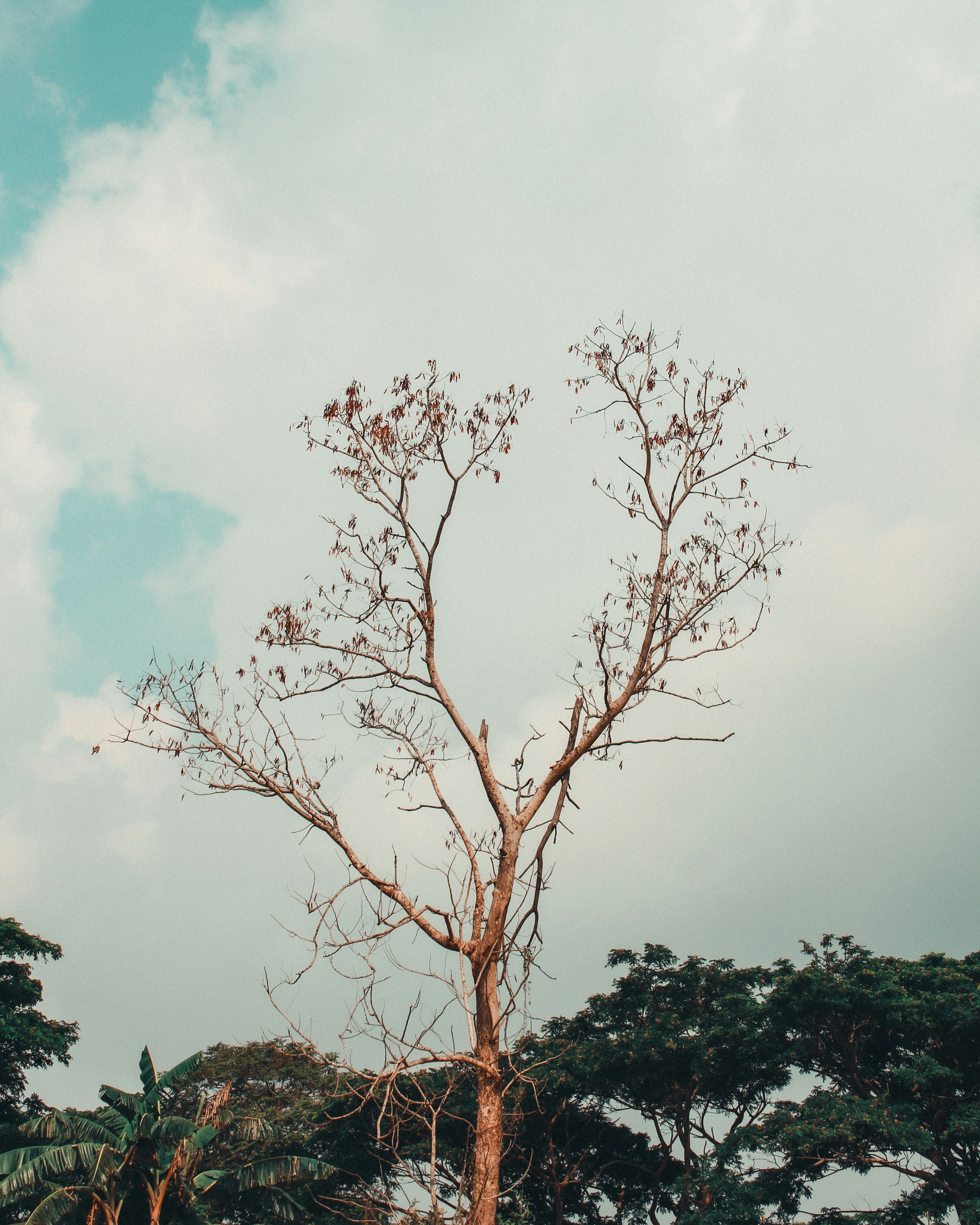 Photo by marjohnthegreat