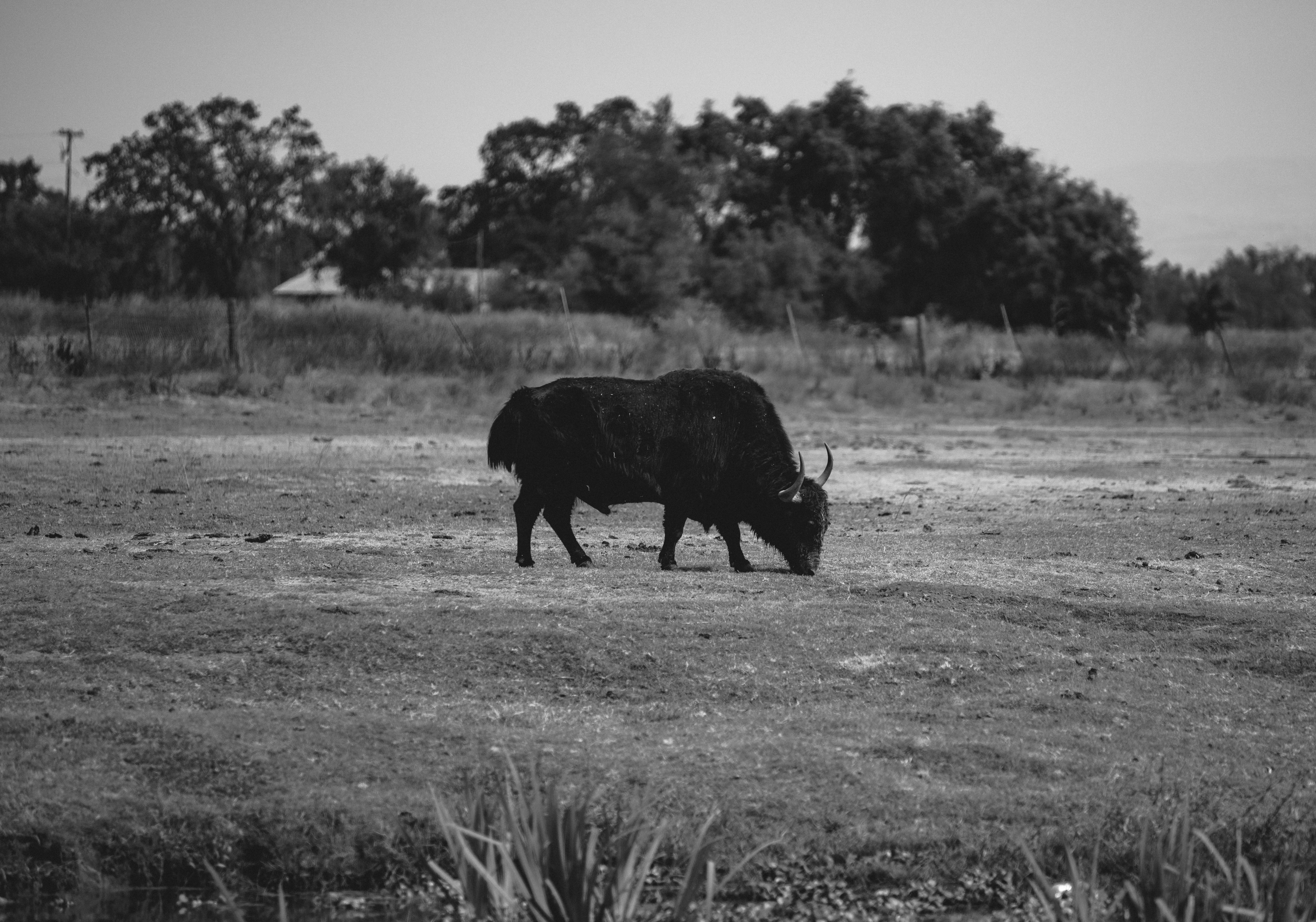 Merced, CA, United States cover image