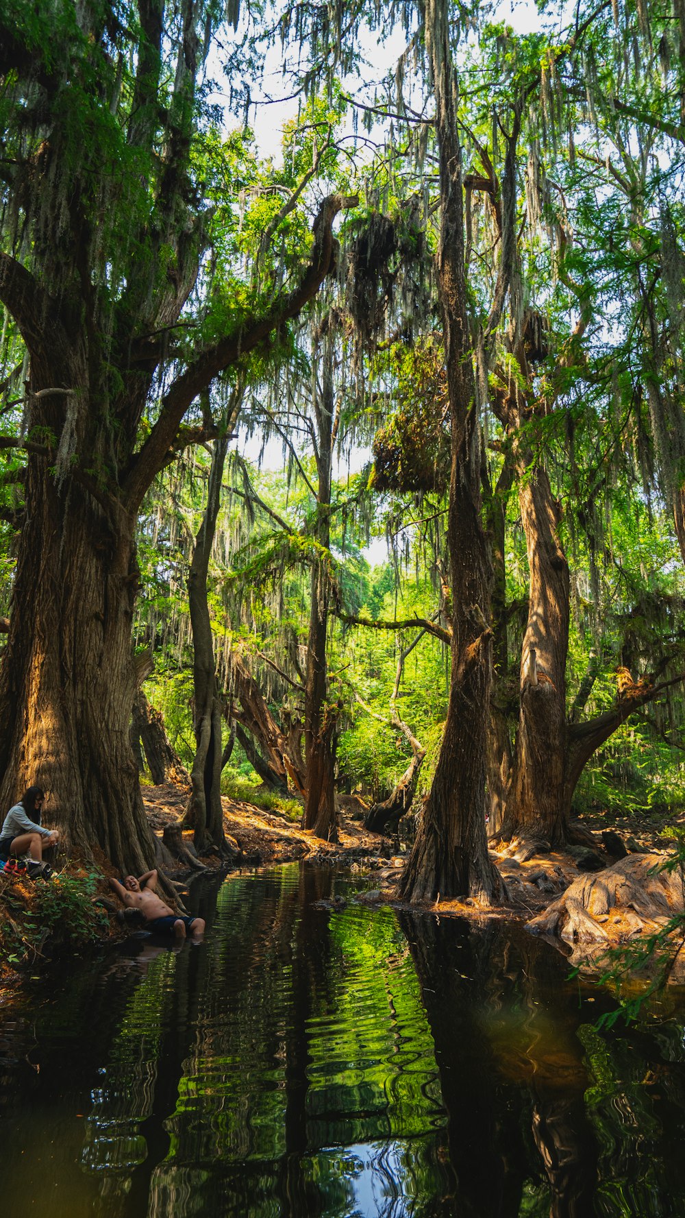 a man sitting on the bank of a river surrounded by trees