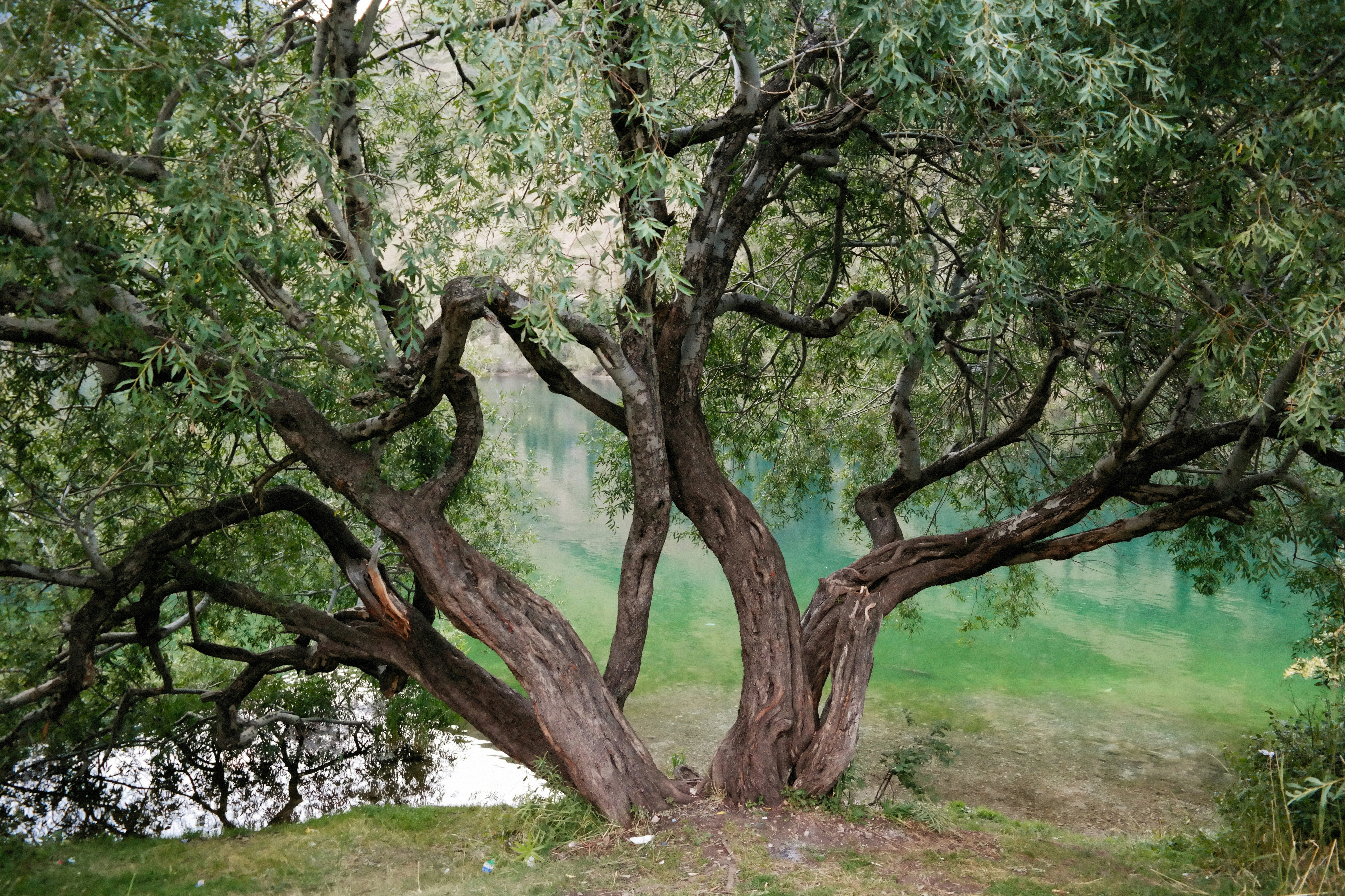 Photo by alexeydemidov