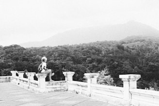 A lone traveler sits on the edge of a stone railing, facing an expansive view of a forested landscape under a misty sky. The scene conveys a sense of solitude and contemplation.