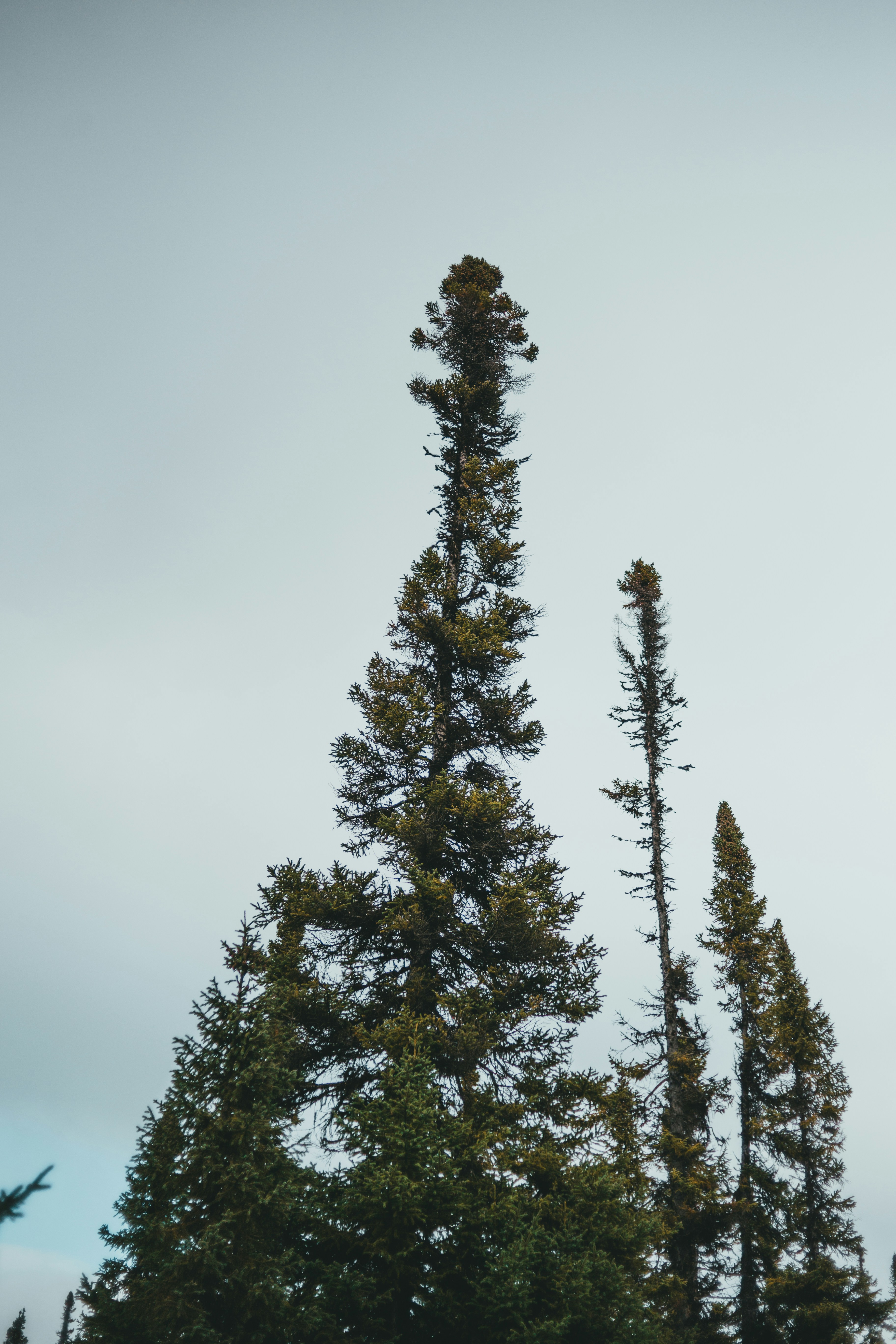 Photo by introspectivedsgn