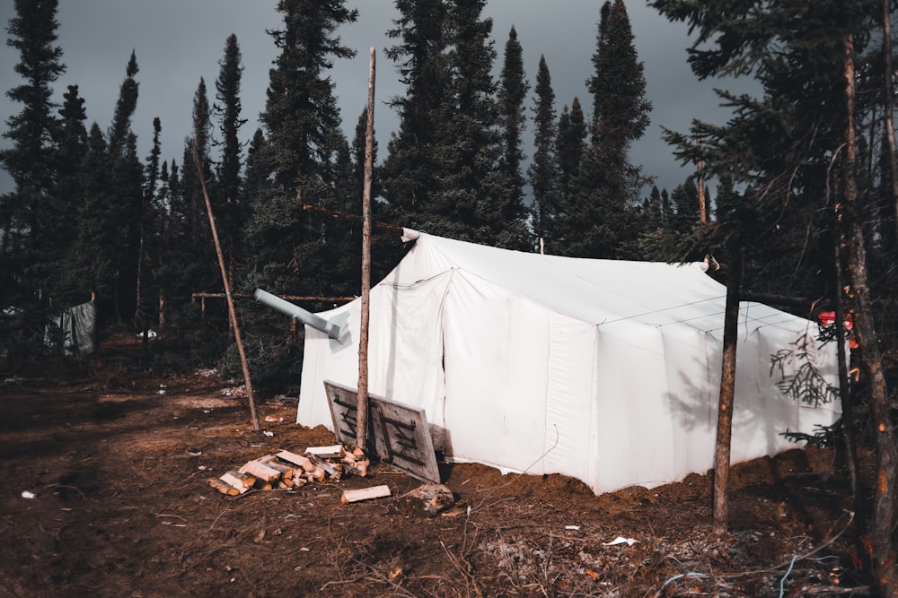 a white tent in the middle of a forest