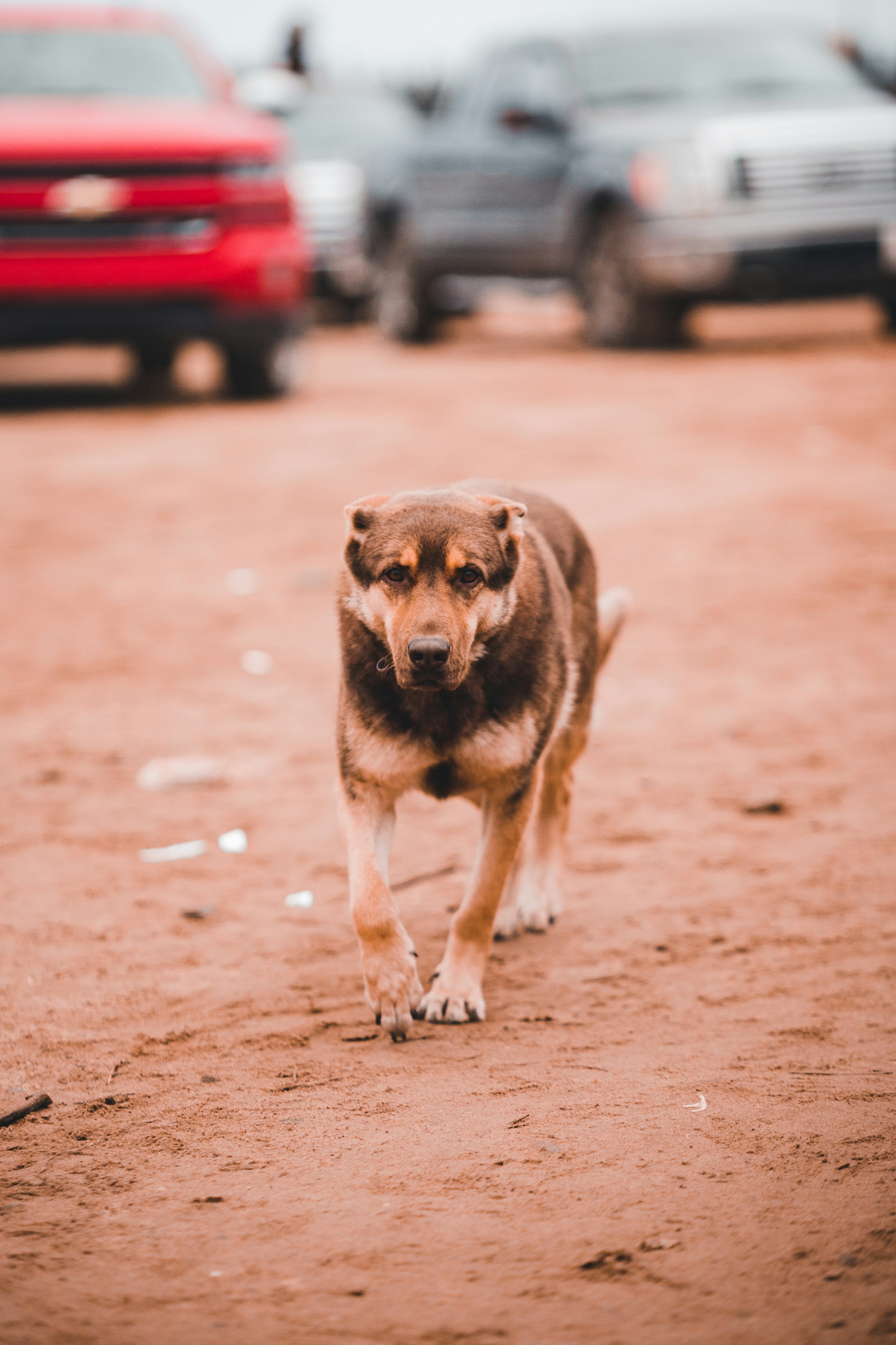 Photo by introspectivedsgn