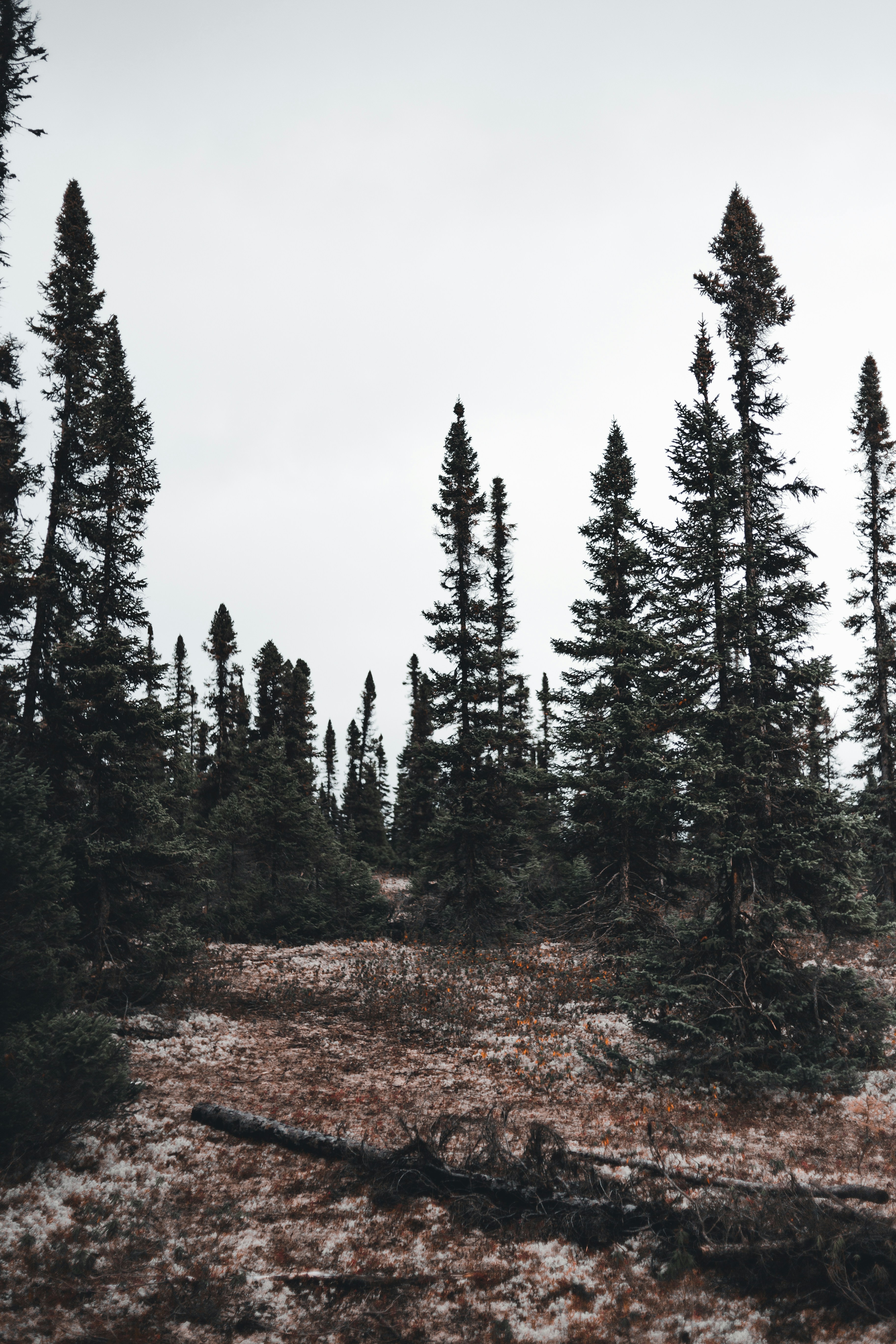 Photo by introspectivedsgn