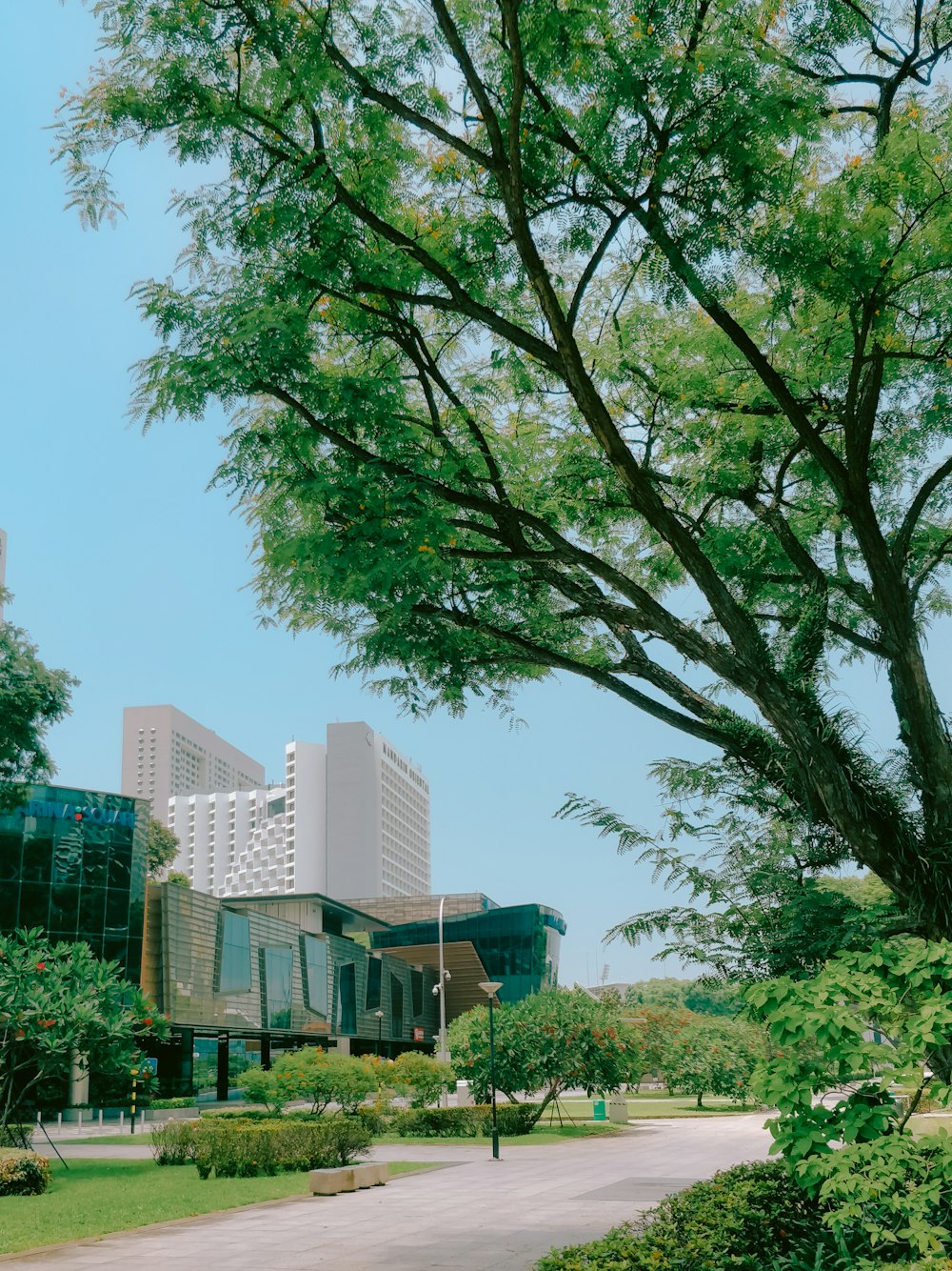 a large building sitting next to a lush green park