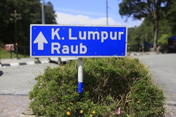 A blue road sign displaying directions to K. Lumpur and Raub stands prominently against a background of greenery and a clear sky. The sign is surrounded by small bushes with small yellow flowers, and the road is visible in the background.