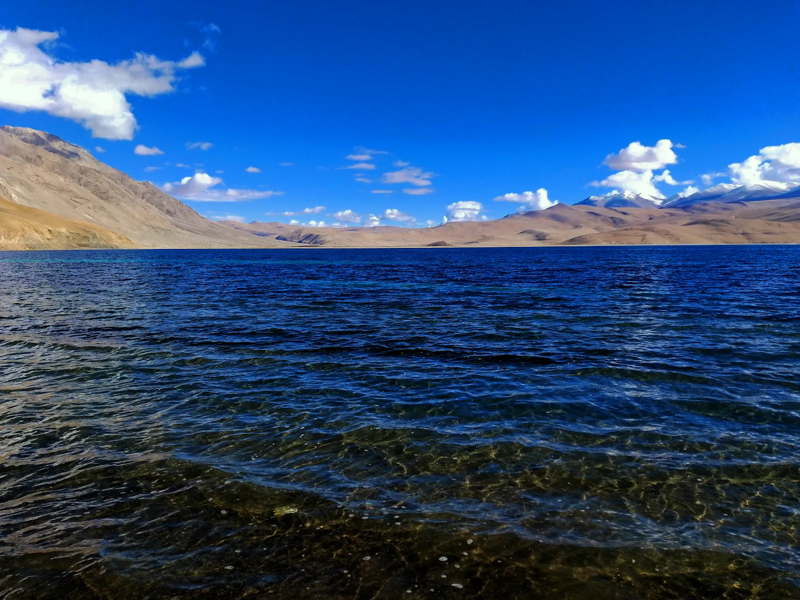 Blue water of a high-altitude lake in Ladakh below bare mountains