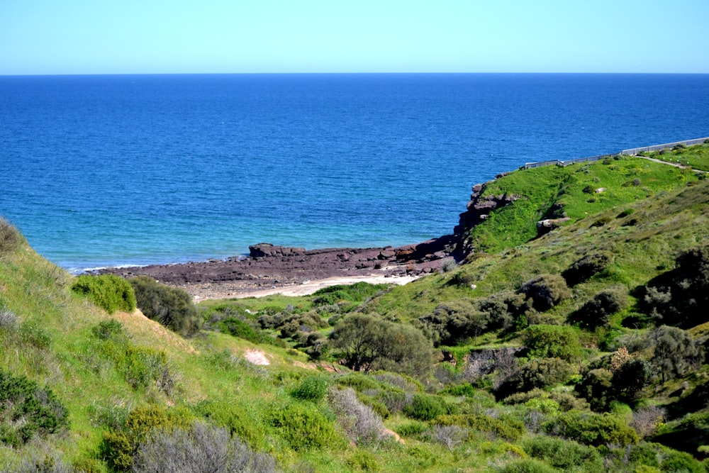 a view of the ocean from a hill