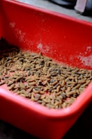 A red plastic container filled with numerous brown worms or larvae, likely used for feeding animals or bait. The container shows signs of use with some dust and scratches.