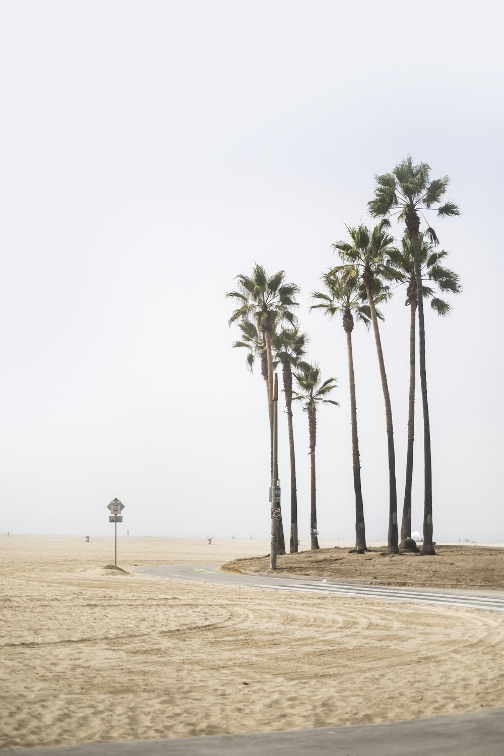 a sandy beach with palm trees and a street sign