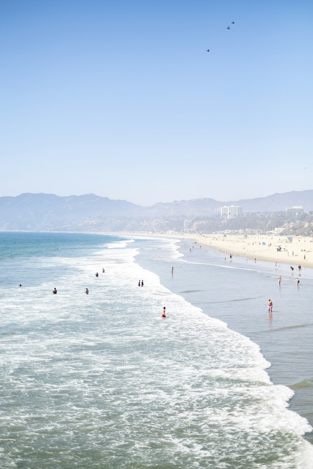 a group of people standing on top of a beach next to the ocean