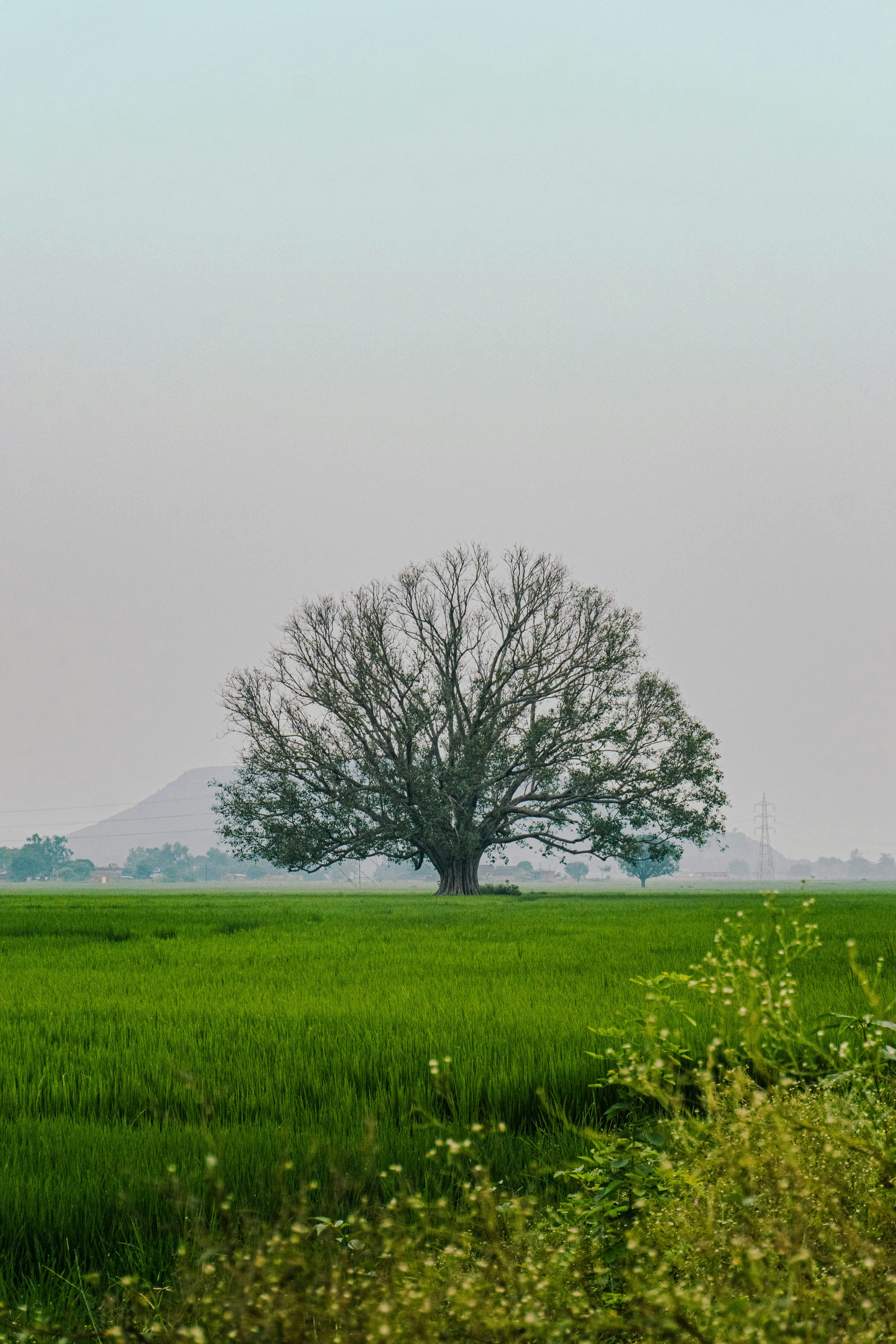 Photo by thevufinder