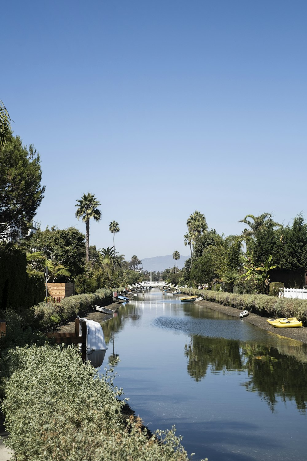 a body of water surrounded by trees and bushes