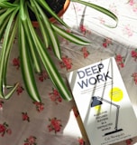 a book sitting on top of a bed next to a plant