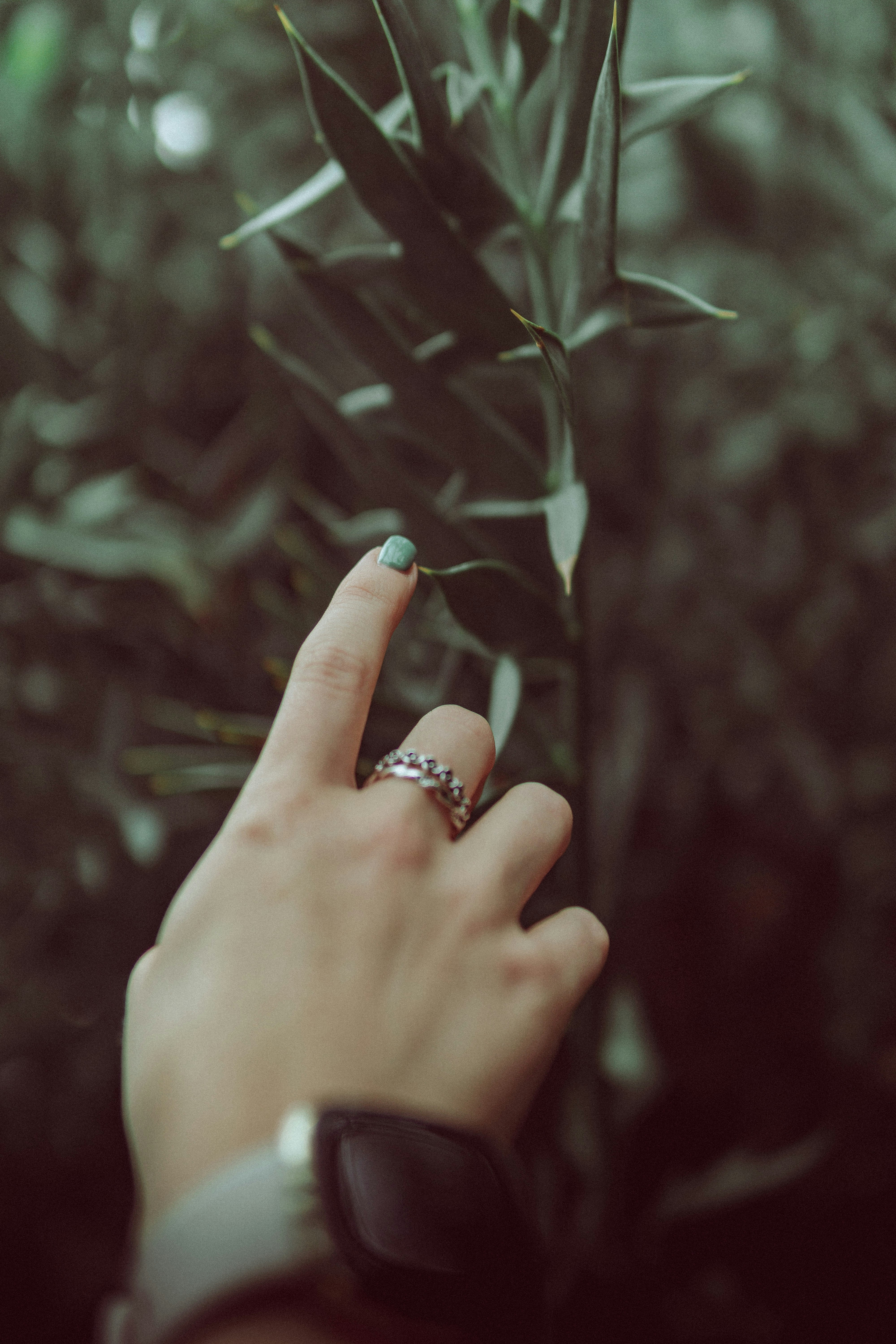 photo-1632984512706-029f5e57e6fd?crop=entropy&cs=tinysrgb&fit=max&fm=jpg&ixlib=rb-4.1.0&q=80&w=1080