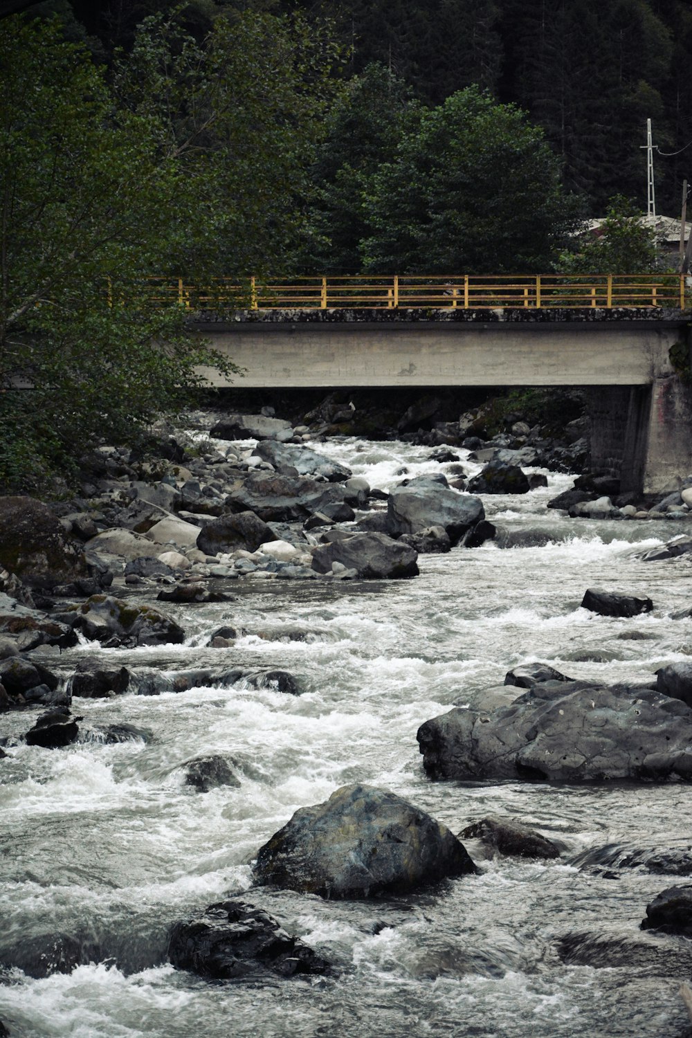 a bridge over a river next to a forest