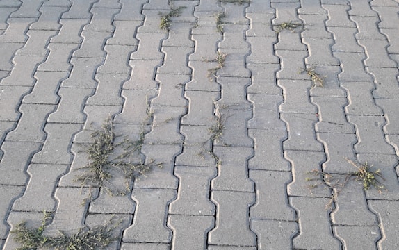 Gray interlocking stone pavement with small patches of grass growing between the cracks in a pattern across the surface.