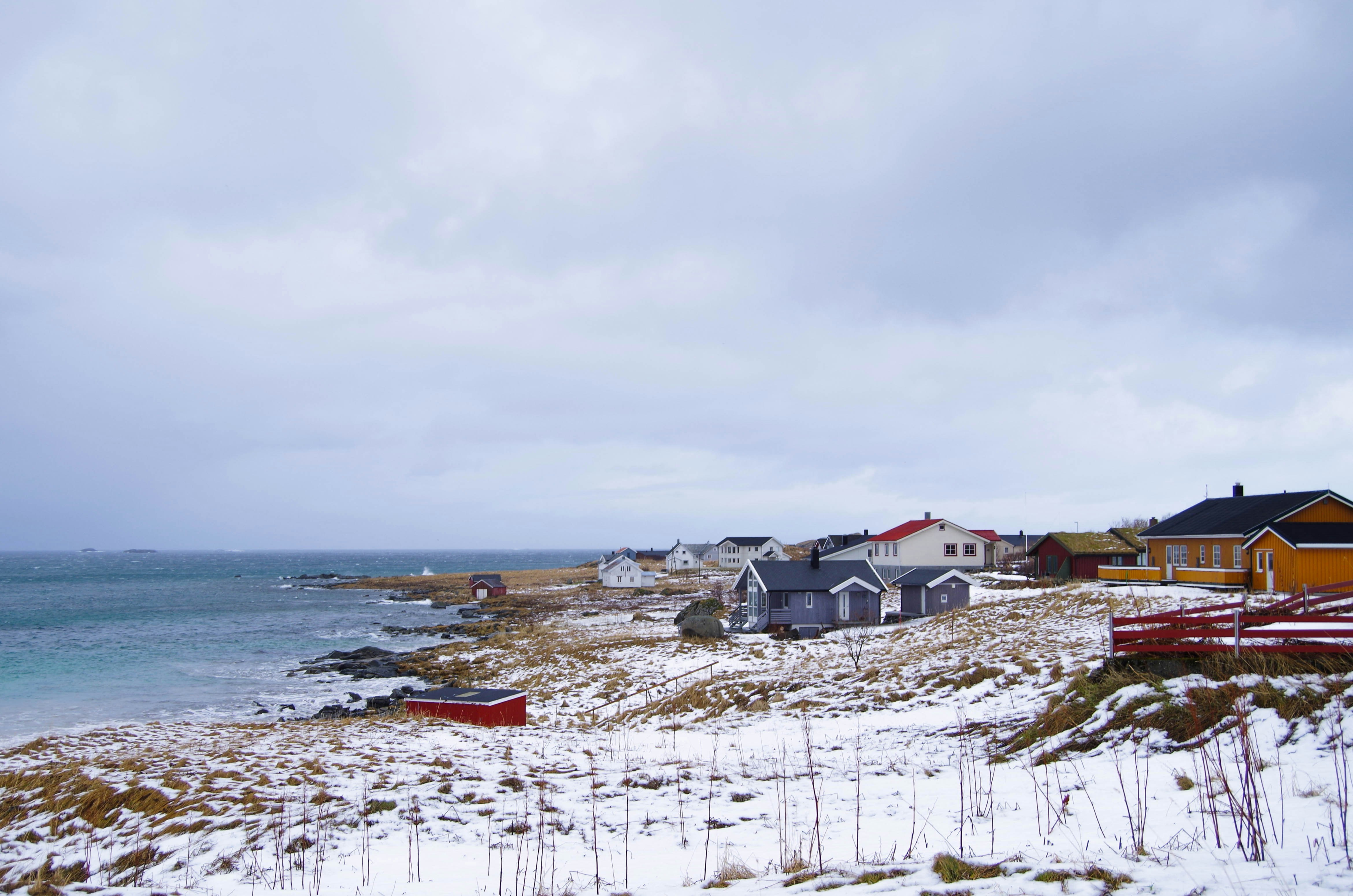 Photo by mariannegayy