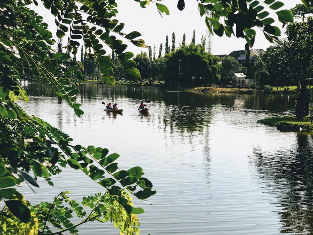 two people in a canoe paddling down a river