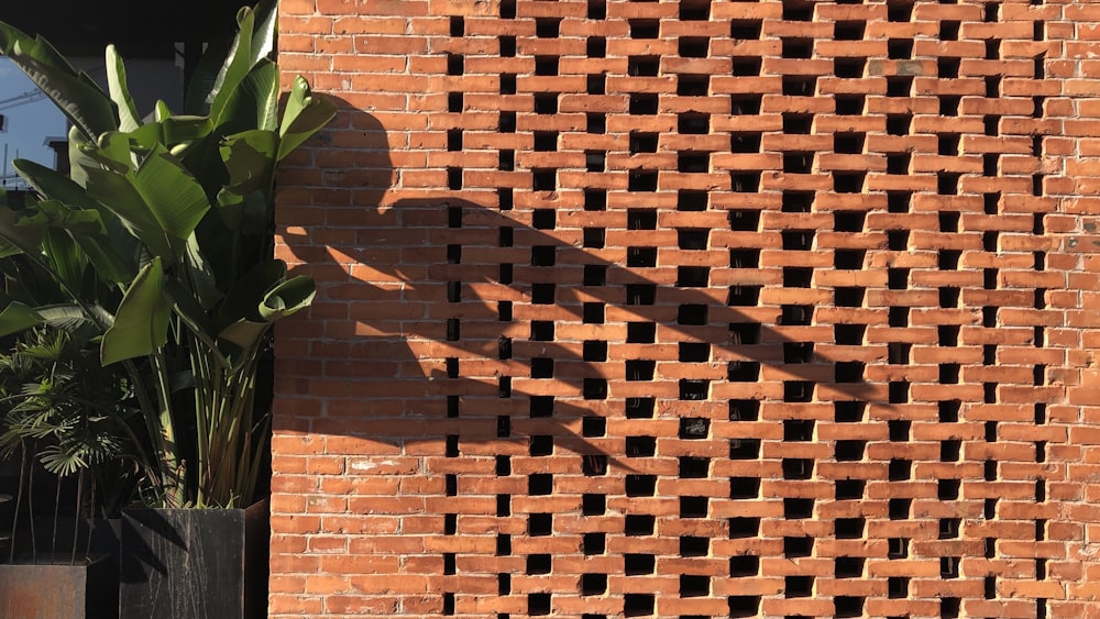 a brick wall with a plant in front of it