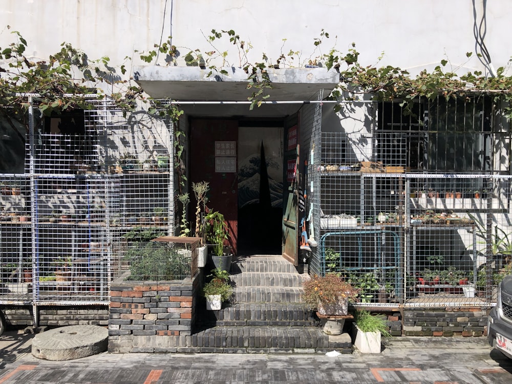 a building with a bunch of plants growing out of it