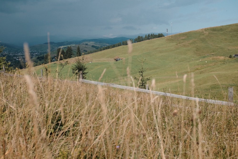 a man riding a skateboard down a hill