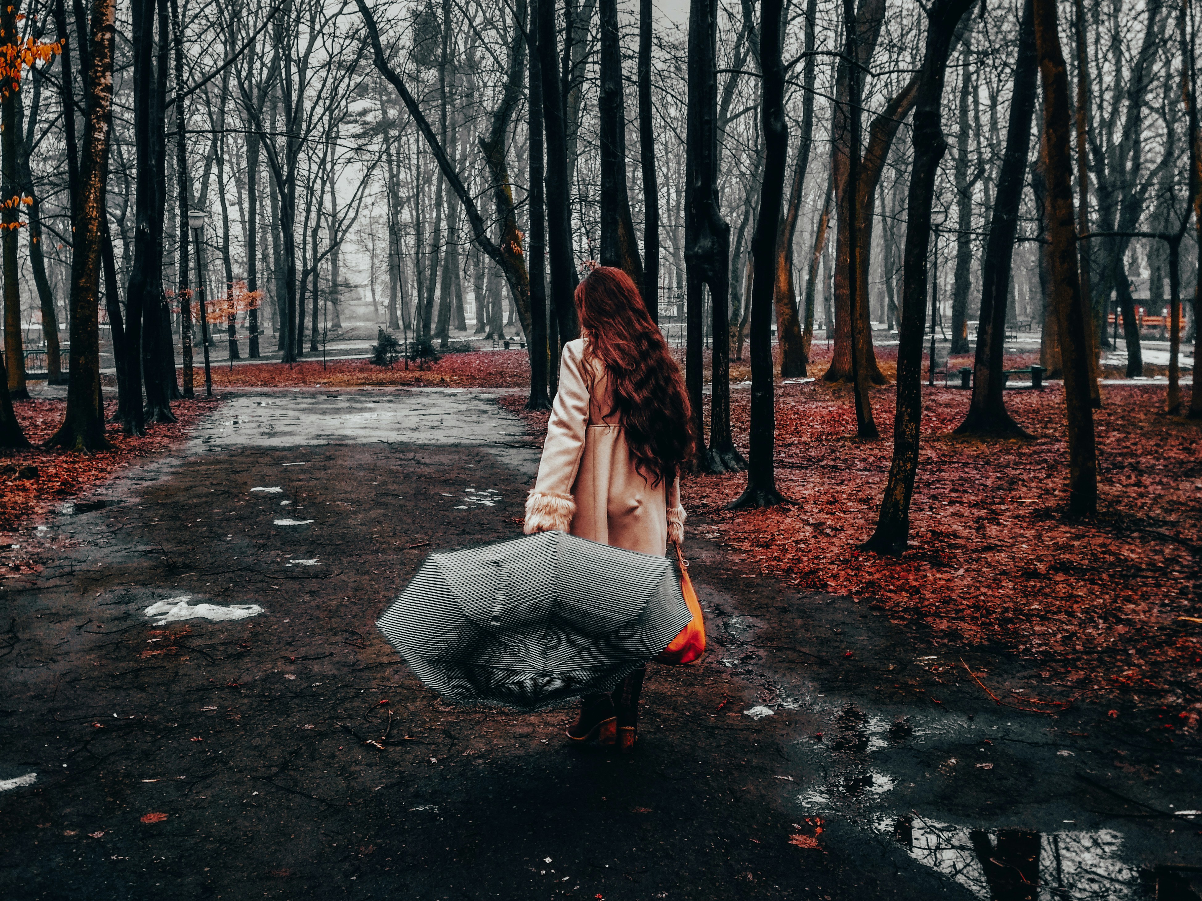 Photo by vivcharyk_ph