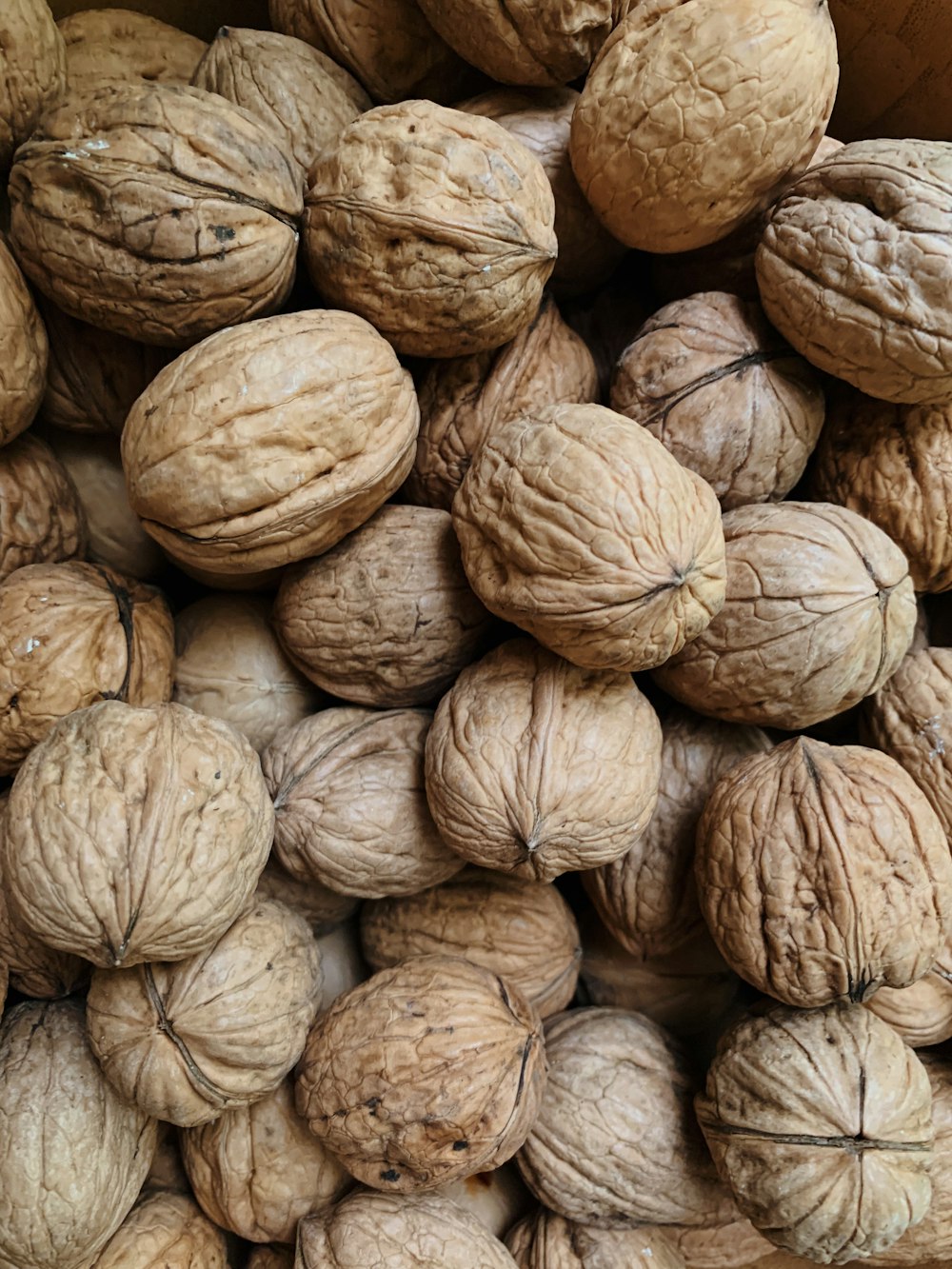 a pile of walnuts sitting next to each other