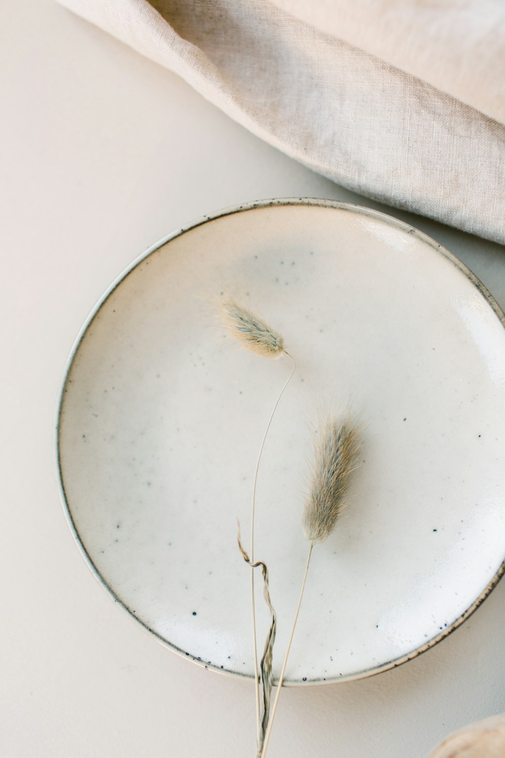 a white plate with a dried plant on it