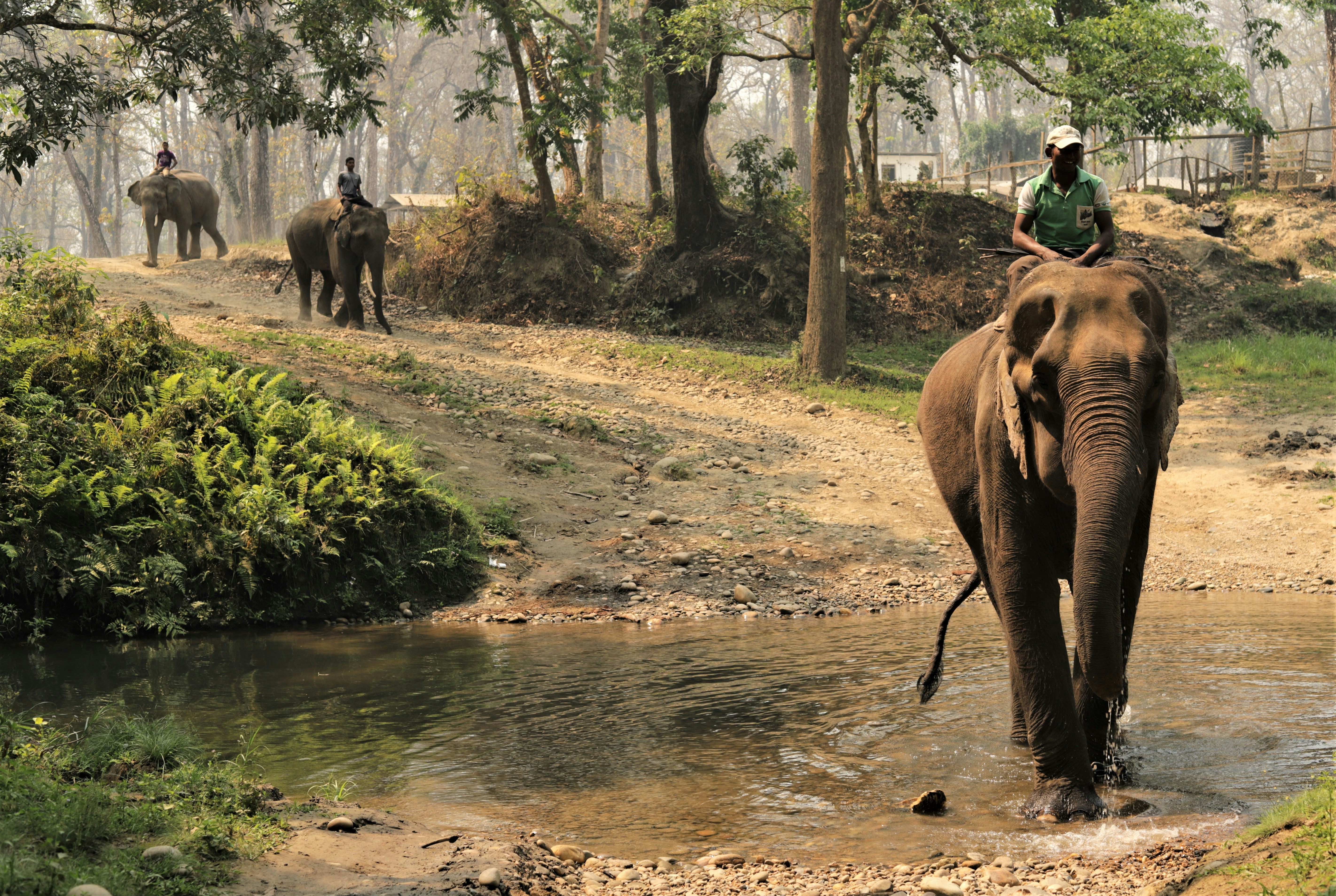 a man riding on the back of an elephant