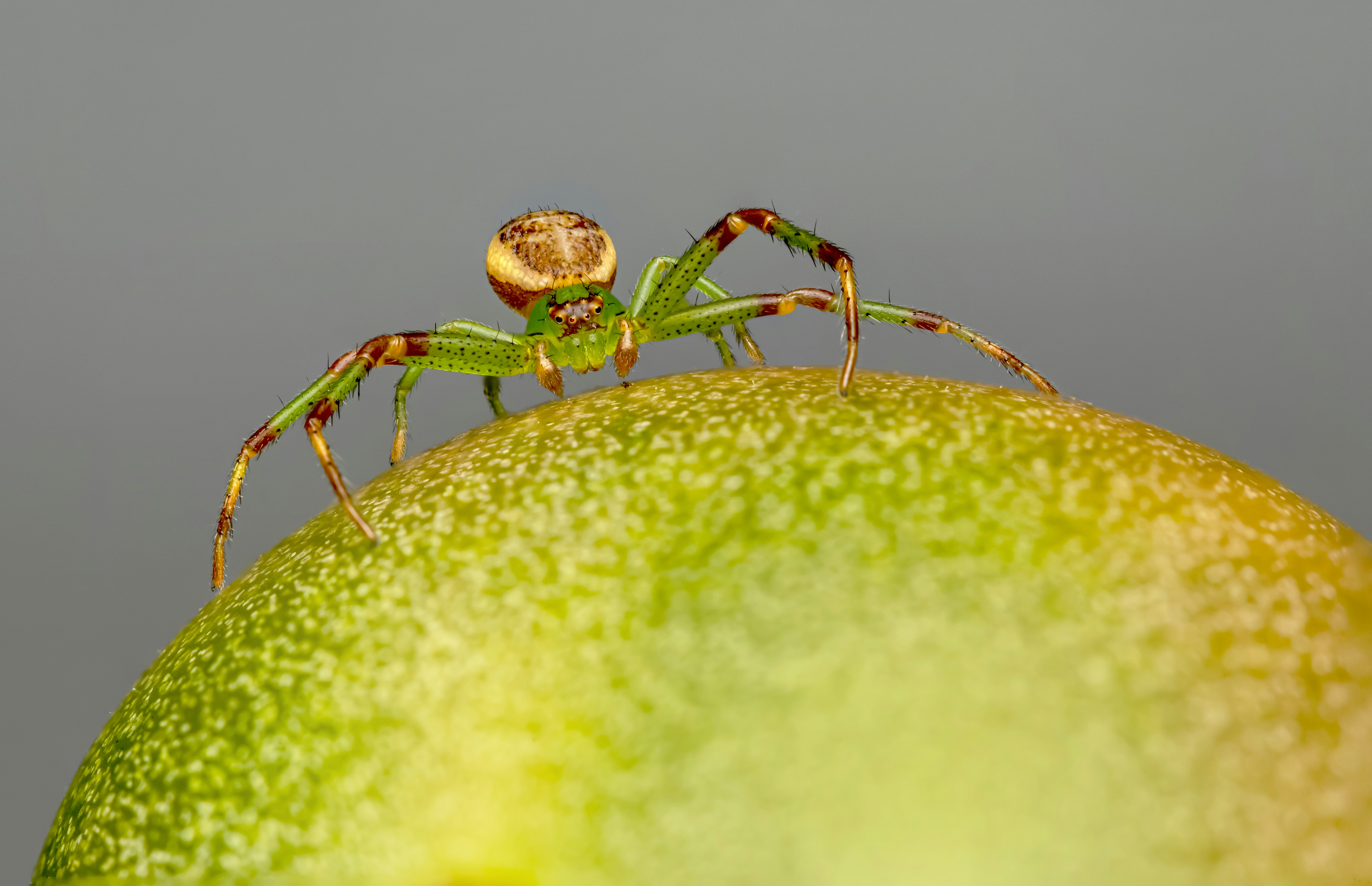 Photo by erik_karits