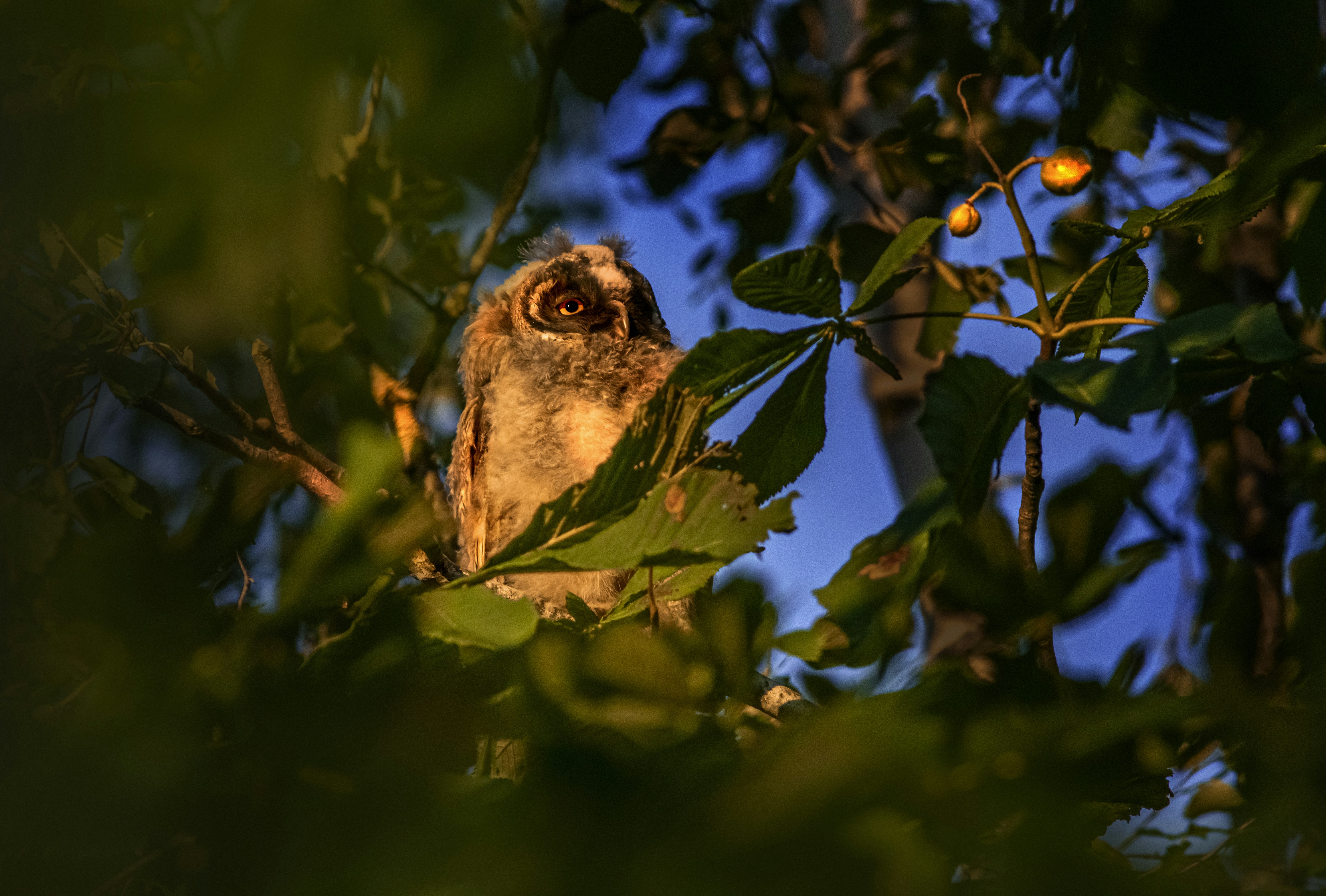 Photo by erik_karits