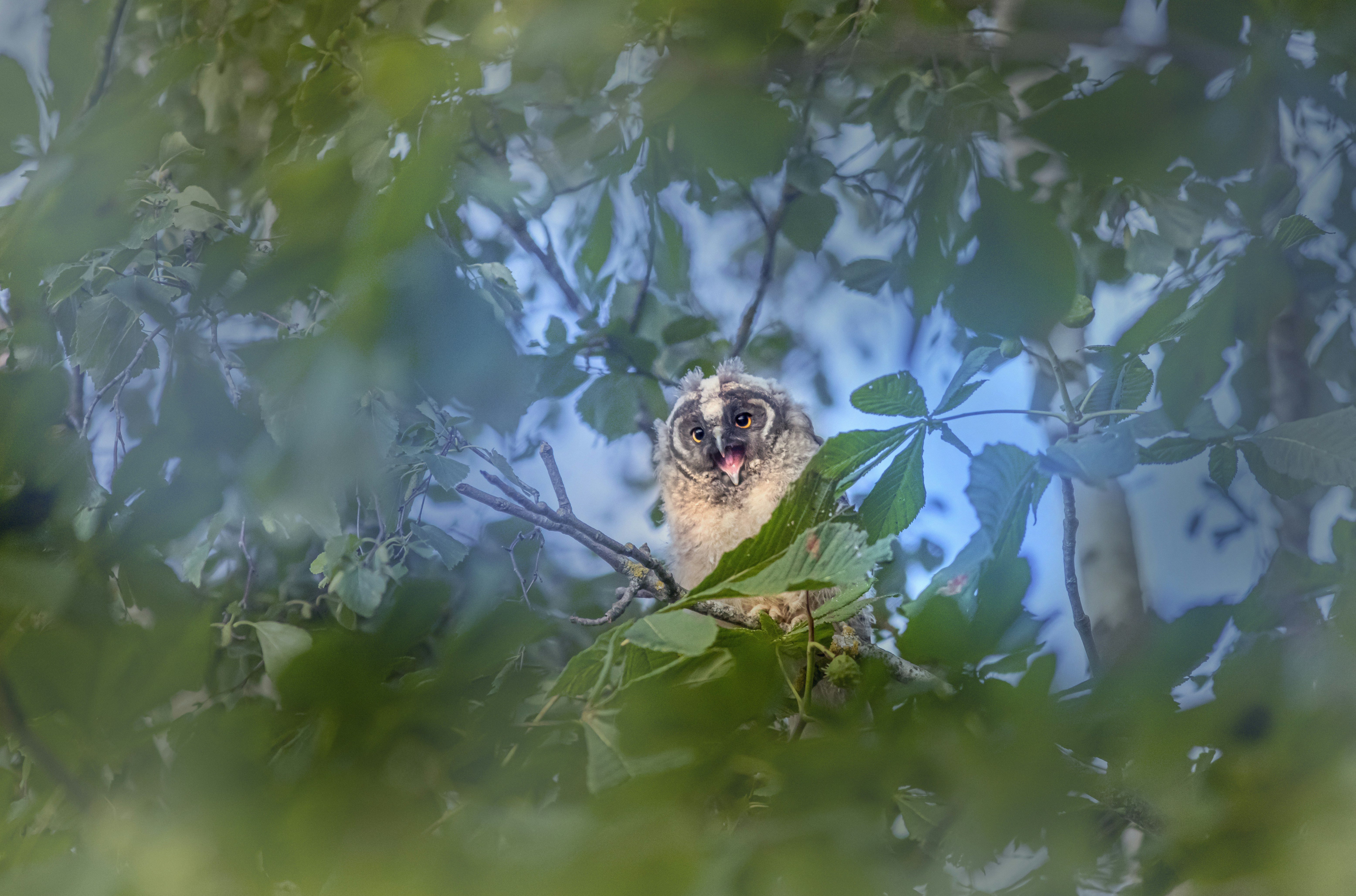 Photo by erik_karits