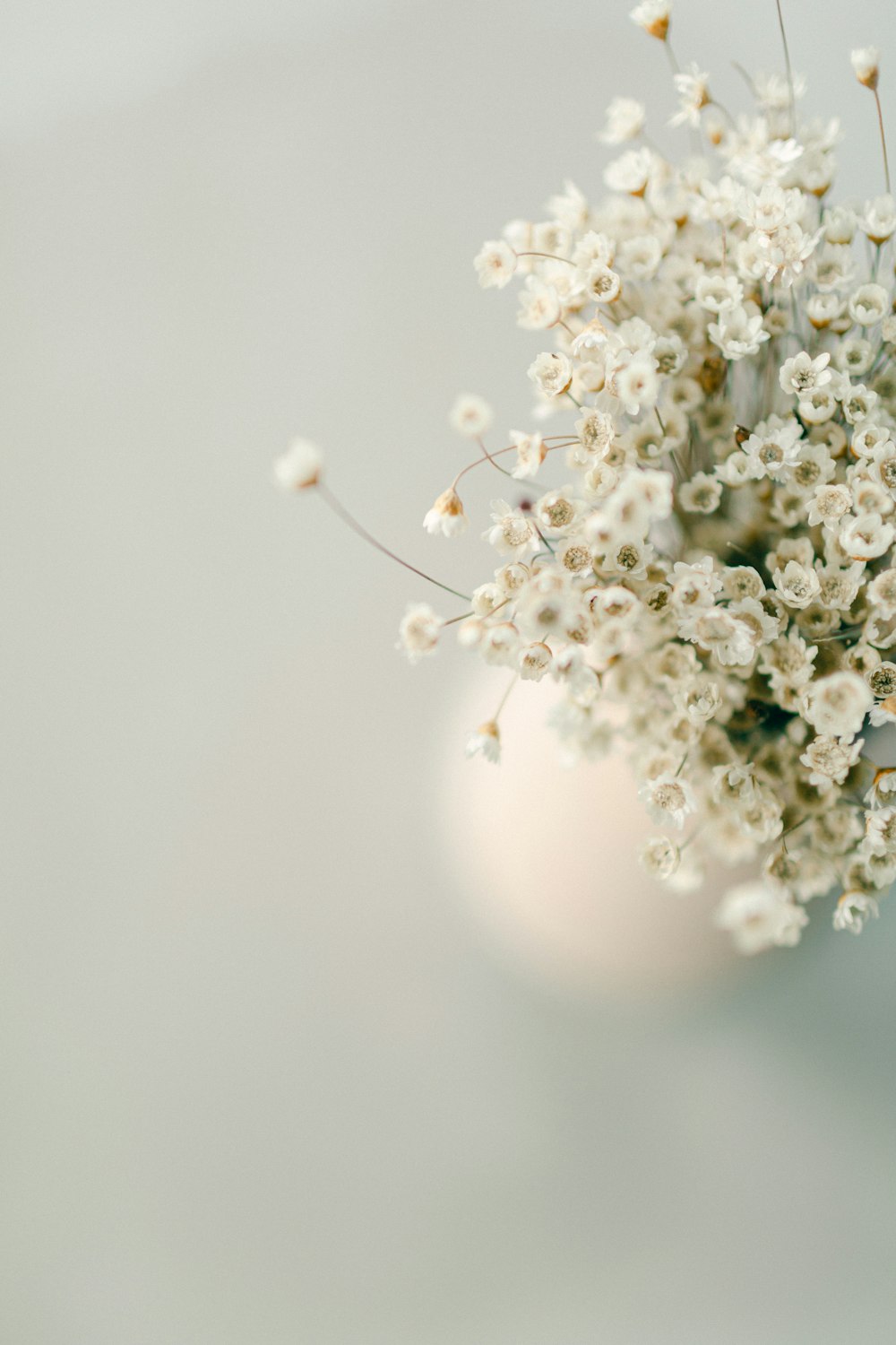 a white vase filled with white flowers on top of a table