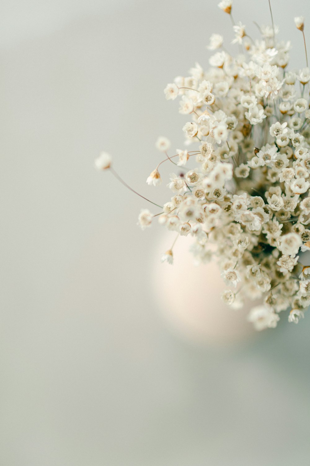 un vaso bianco pieno di fiori bianchi in cima a un tavolo